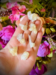 Celestite with Calcite, Clay Center, USA Minerals (ONLINE ORDER ONLY)