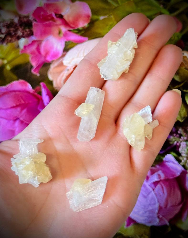 Celestite with Calcite, Clay Center, USA Minerals (ONLINE ORDER ONLY)