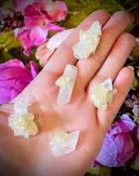 Celestite with Calcite, Clay Center, USA Minerals (ONLINE ORDER ONLY)
