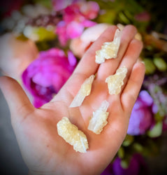 Celestite with Calcite, Clay Center, USA Minerals (ONLINE ORDER ONLY)