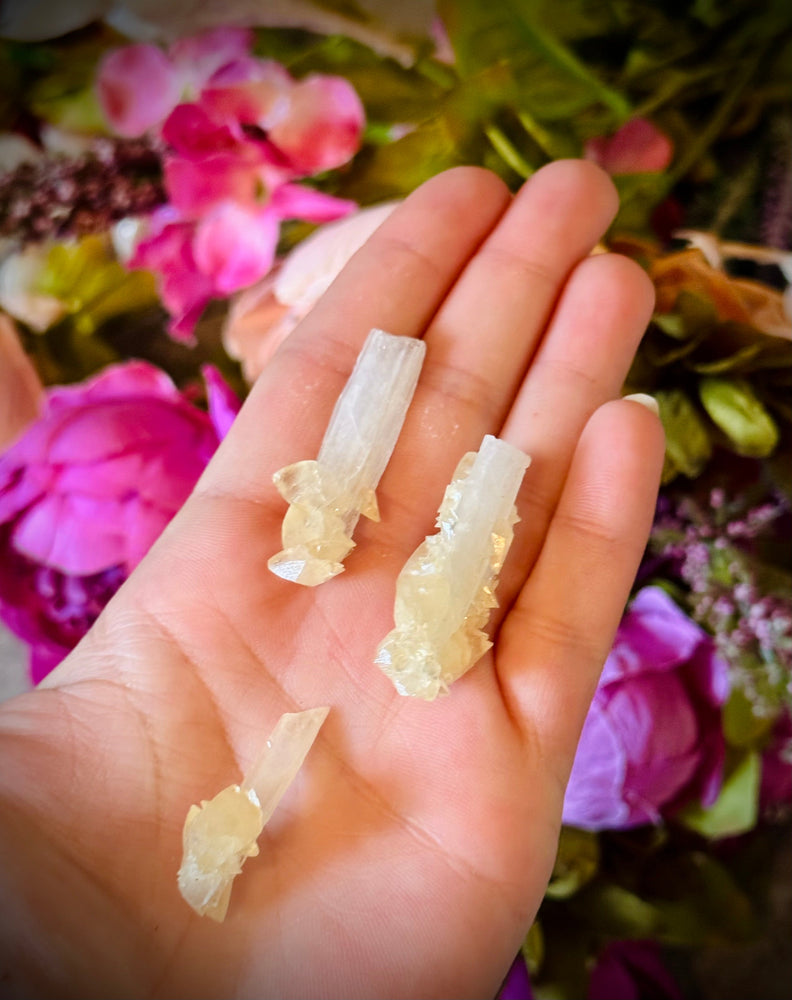 Celestite with Calcite, Clay Center, USA Minerals (ONLINE ORDER ONLY)