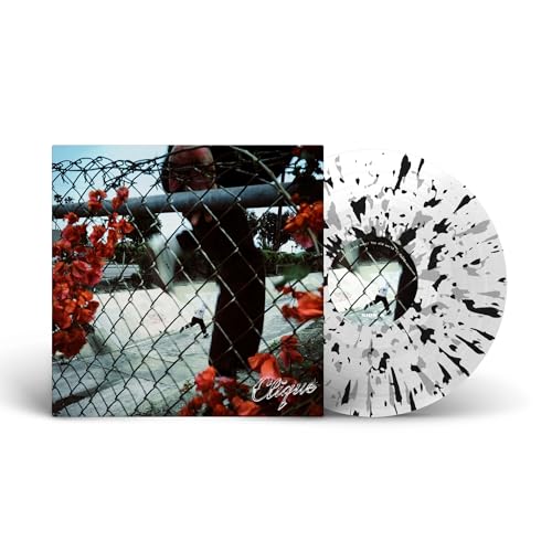 In Lives That Won'T Last [Vinyl] (ONLINE ORDER ONLY)