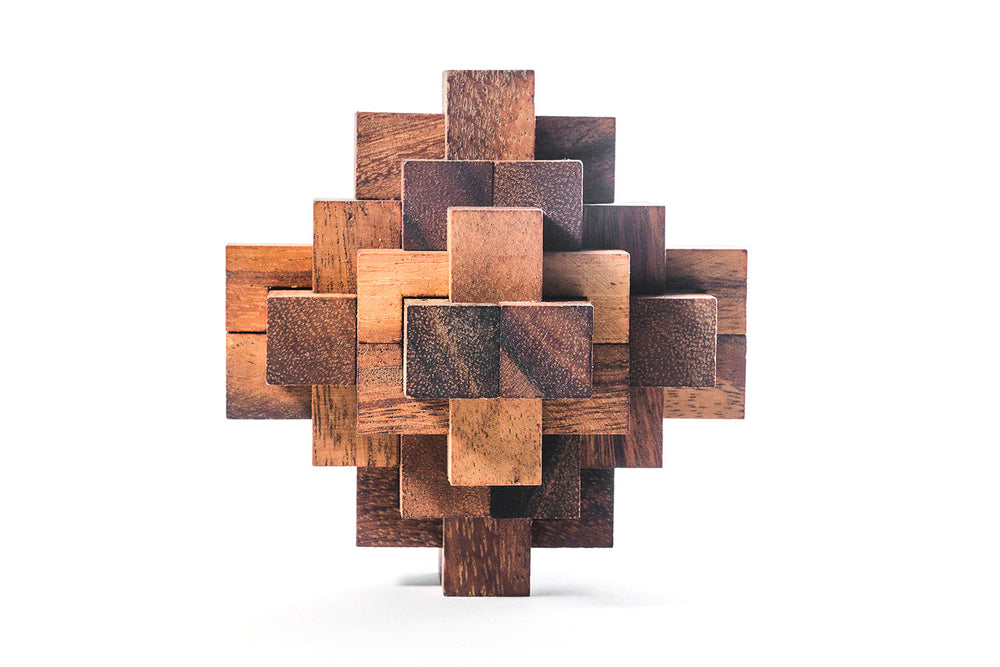 Construct Puzzle - Interlocking 24 piece Burr Puzzle (Online Order Only)