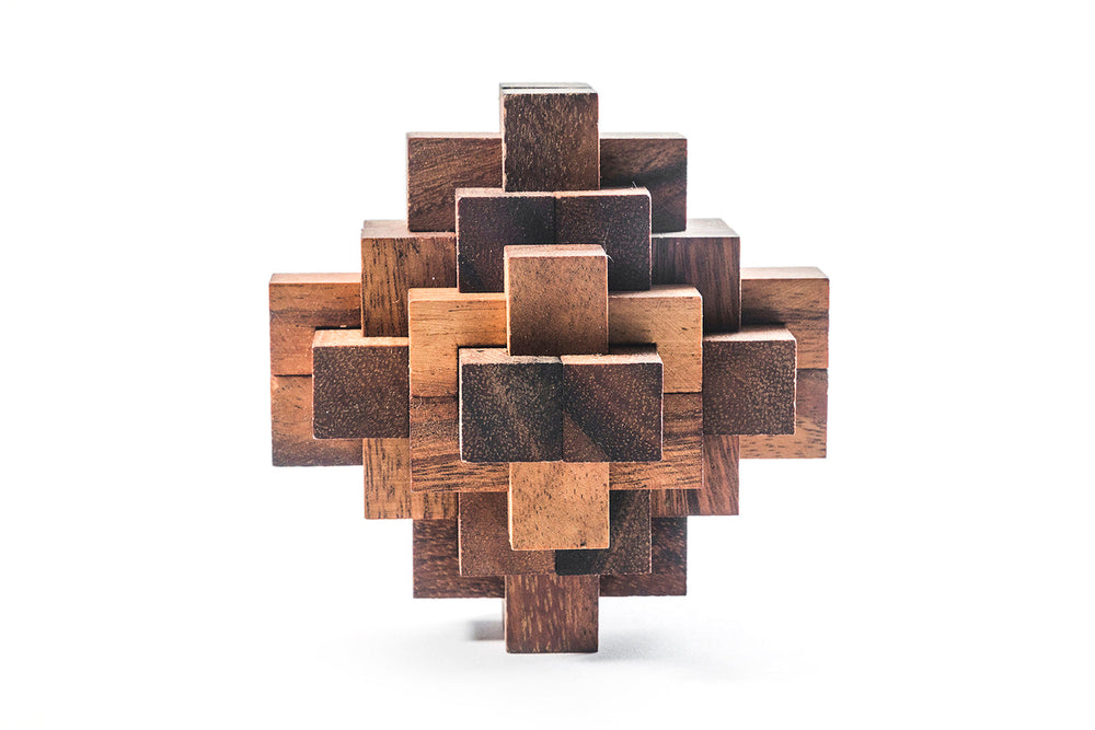 Construct Puzzle - Interlocking 24 piece Burr Puzzle (Online Order Only)