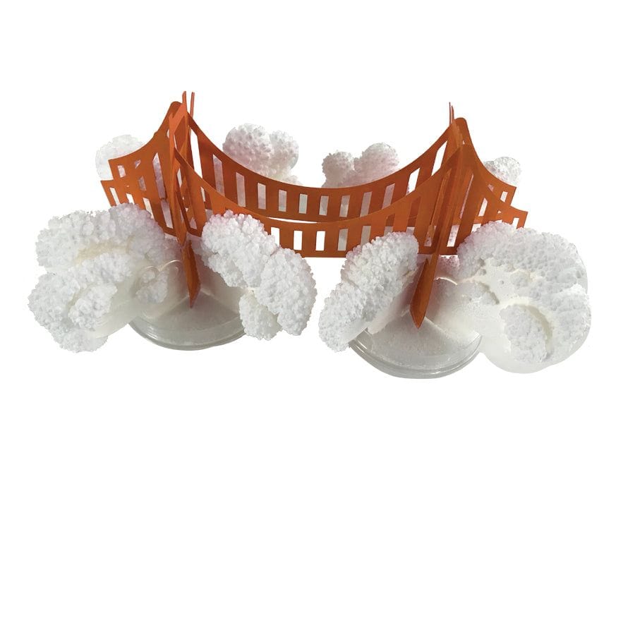 Crystal Growing: Golden Gate Bridge (ONLINE ORDER ONLY)