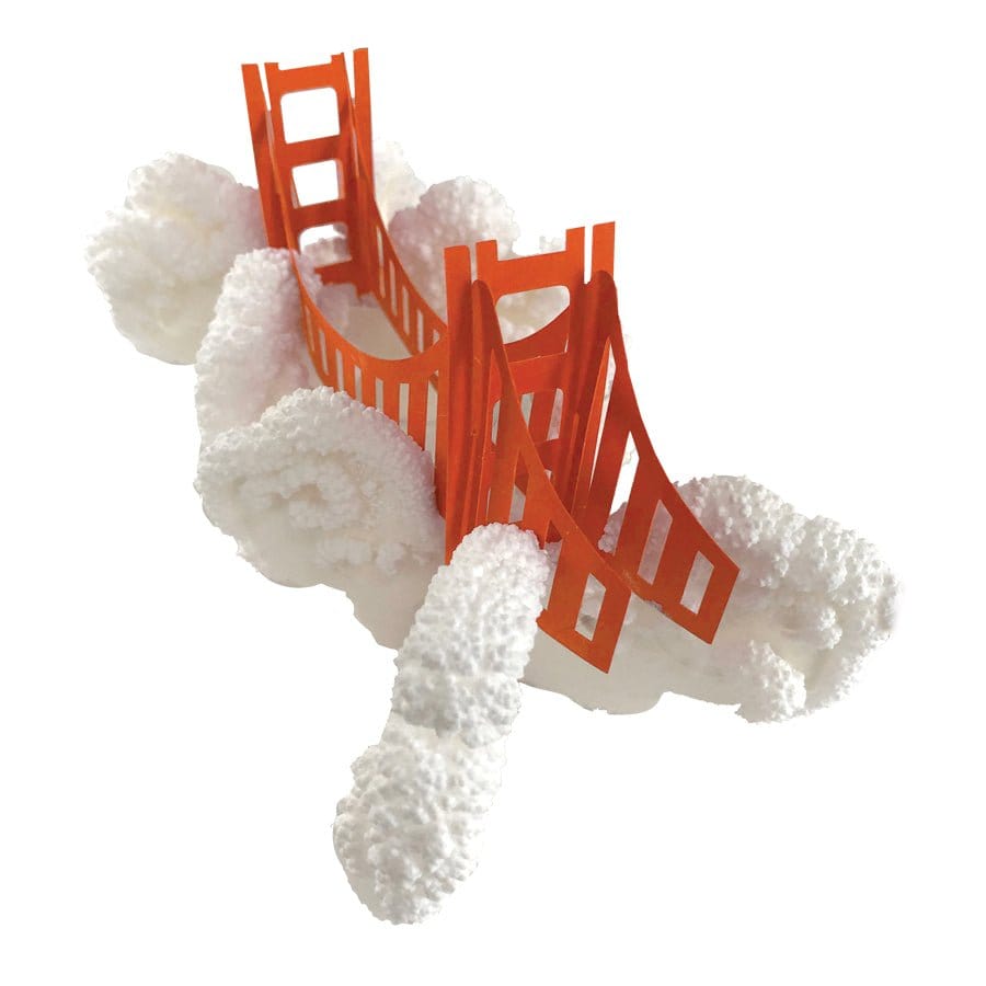 Crystal Growing: Golden Gate Bridge (ONLINE ORDER ONLY)