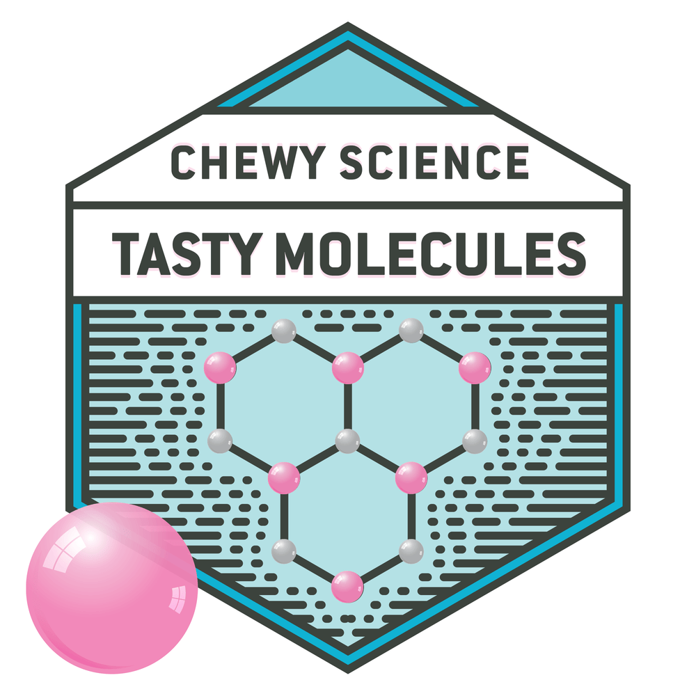 Bubble Gum Chemistry Kit (ONLINE ORDER ONLY)