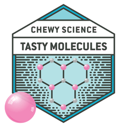 Bubble Gum Chemistry Kit (ONLINE ORDER ONLY)