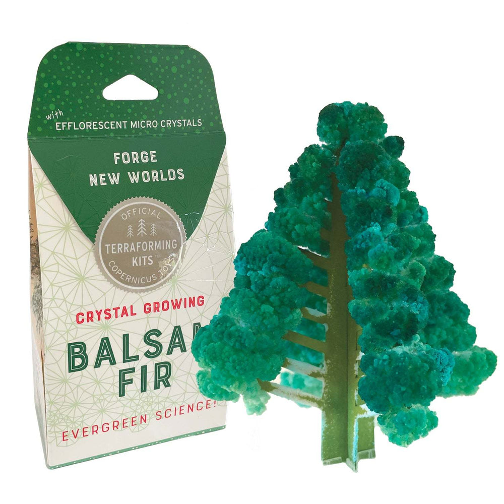 Crystal Growing Balsam Fir (ONLINE ORDER ONLY)