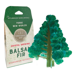 Crystal Growing Balsam Fir (ONLINE ORDER ONLY)