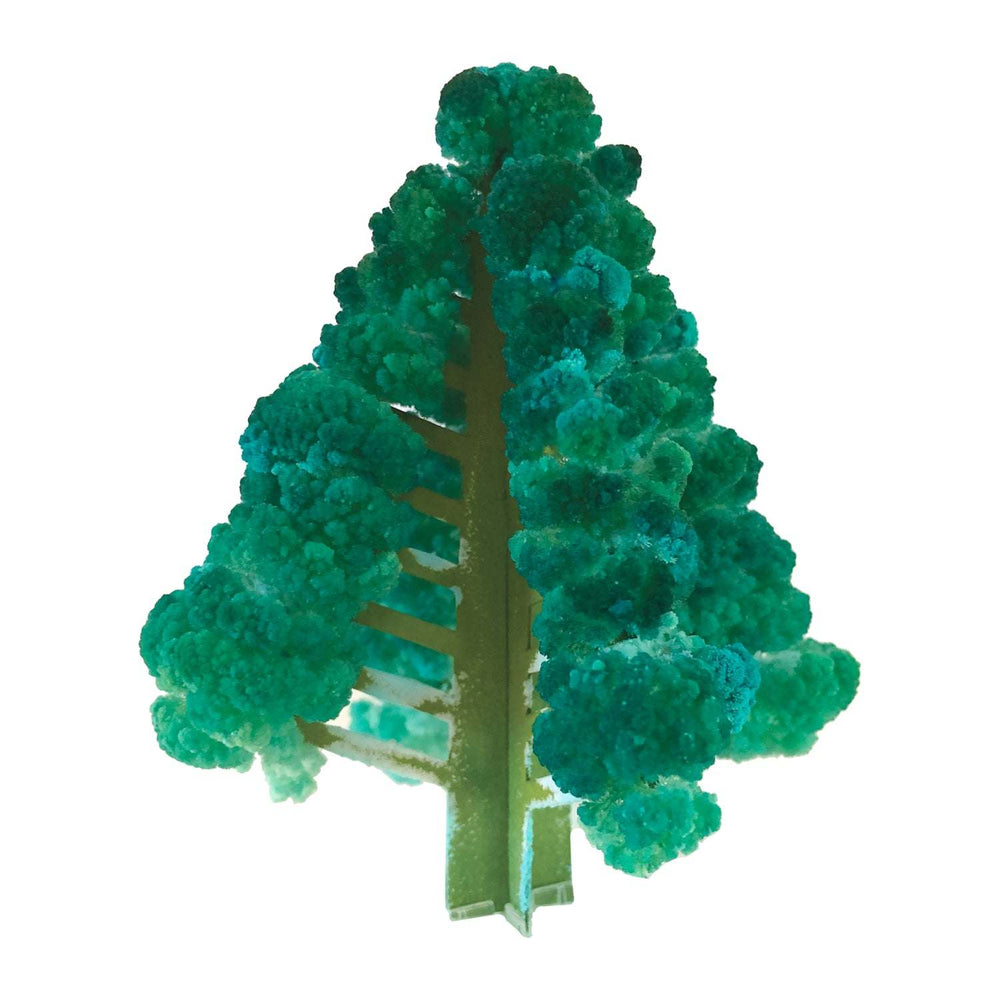 Crystal Growing Balsam Fir (ONLINE ORDER ONLY)