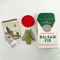 Crystal Growing Balsam Fir (ONLINE ORDER ONLY)