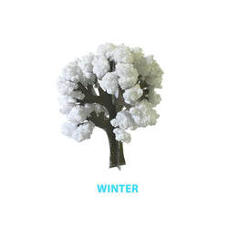 Crystal Growing Seasons kit (ONLINE ORDER ONLY)