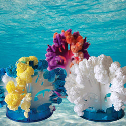 Crystal Growing Coral Reef (ONLINE ORDER ONLY)
