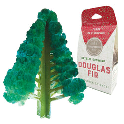 Crystal Growing Douglas Fir | Fast growing crystal science (ONLINE ORDER ONLY)
