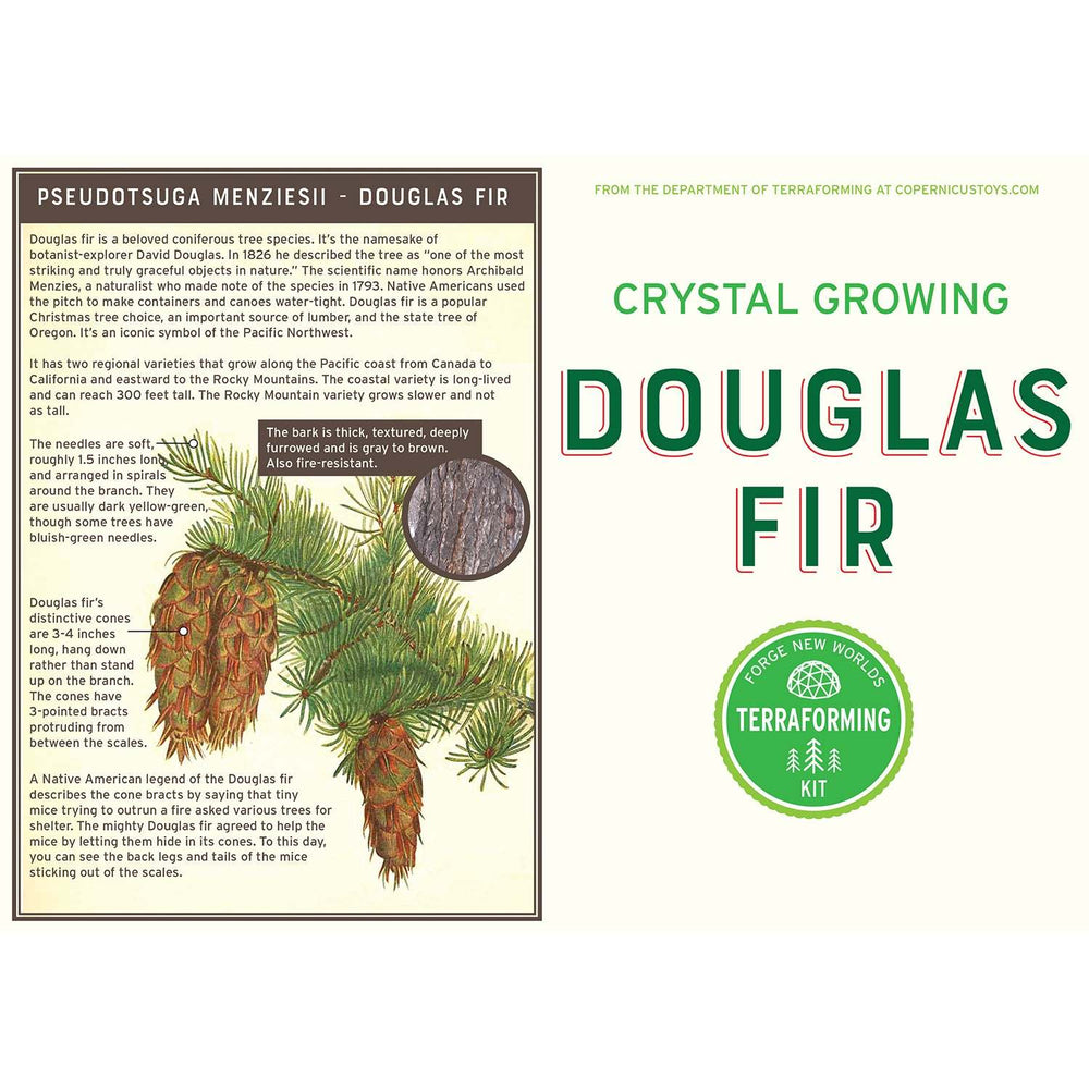 Crystal Growing Douglas Fir | Fast growing crystal science (ONLINE ORDER ONLY)