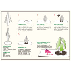 Crystal Growing Douglas Fir | Fast growing crystal science (ONLINE ORDER ONLY)
