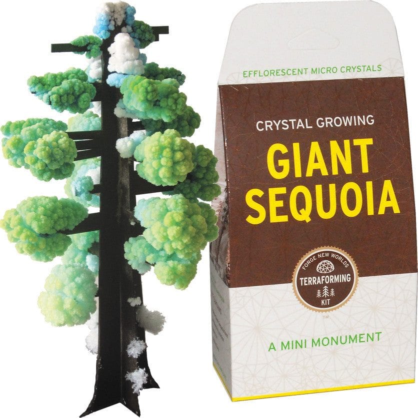 Crystal Growing: Giant Sequoia (ONLINE ORDER ONLY)