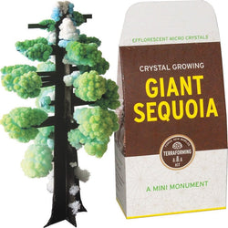 Crystal Growing: Giant Sequoia (ONLINE ORDER ONLY)