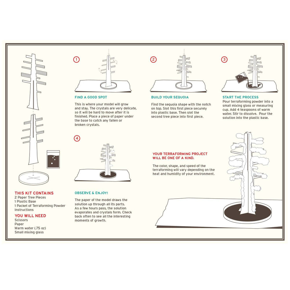 Crystal Growing: Giant Sequoia (ONLINE ORDER ONLY)