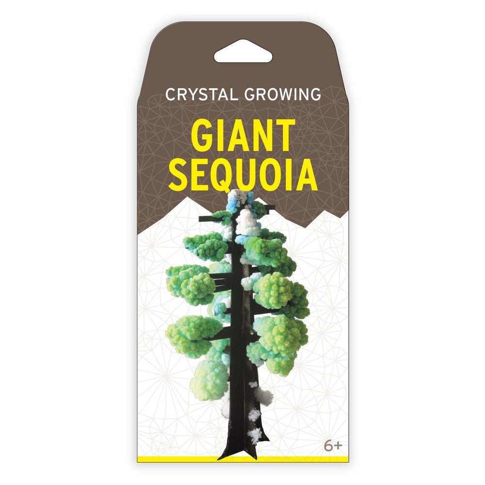 Crystal Growing: Giant Sequoia (ONLINE ORDER ONLY)