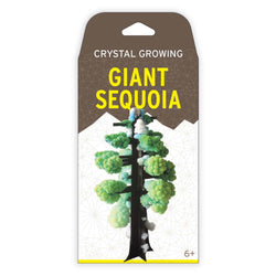 Crystal Growing: Giant Sequoia (ONLINE ORDER ONLY)