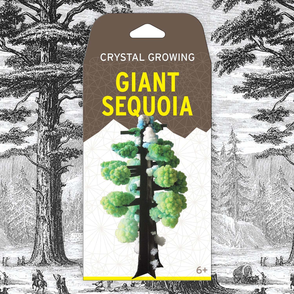 Crystal Growing: Giant Sequoia (ONLINE ORDER ONLY)