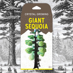 Crystal Growing: Giant Sequoia (ONLINE ORDER ONLY)