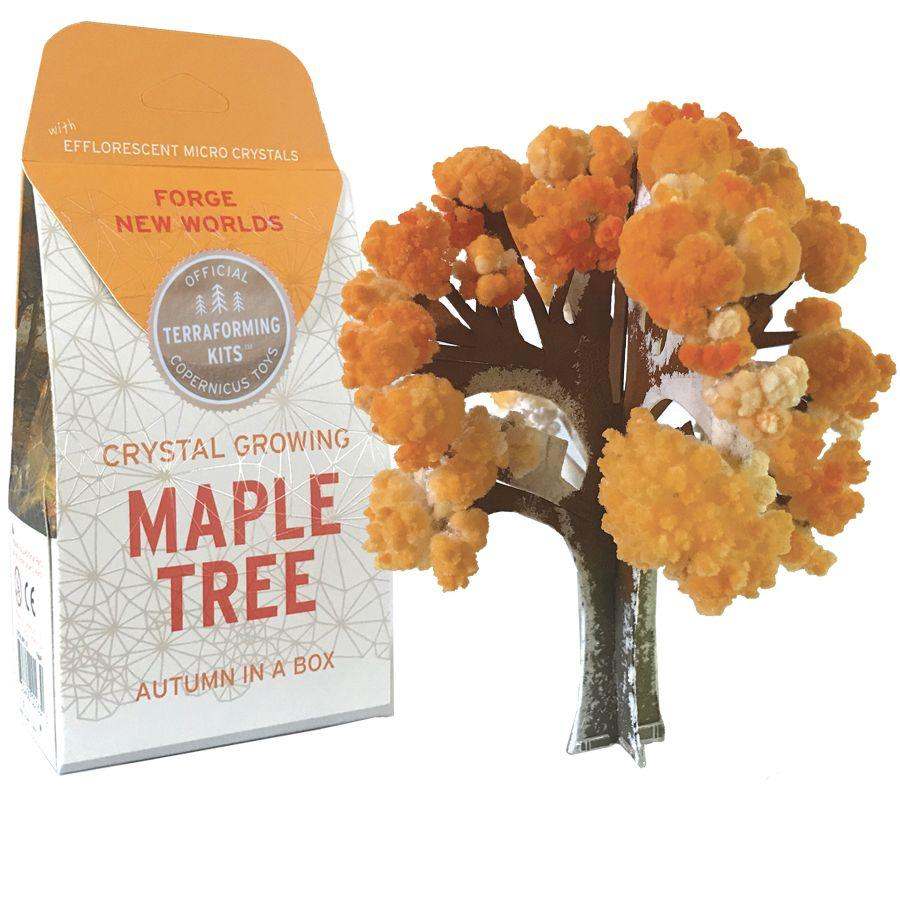 Crystal Growing: Maple Tree (ONLINE ORDER ONLY)