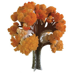Crystal Growing: Maple Tree (ONLINE ORDER ONLY)