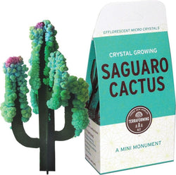 Crystal Growing: Saguaro Cactus (ONLINE ORDER ONLY)
