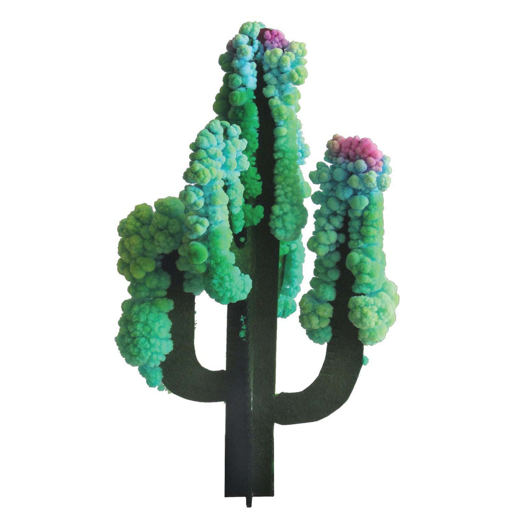 Crystal Growing: Saguaro Cactus (ONLINE ORDER ONLY)