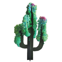 Crystal Growing: Saguaro Cactus (ONLINE ORDER ONLY)