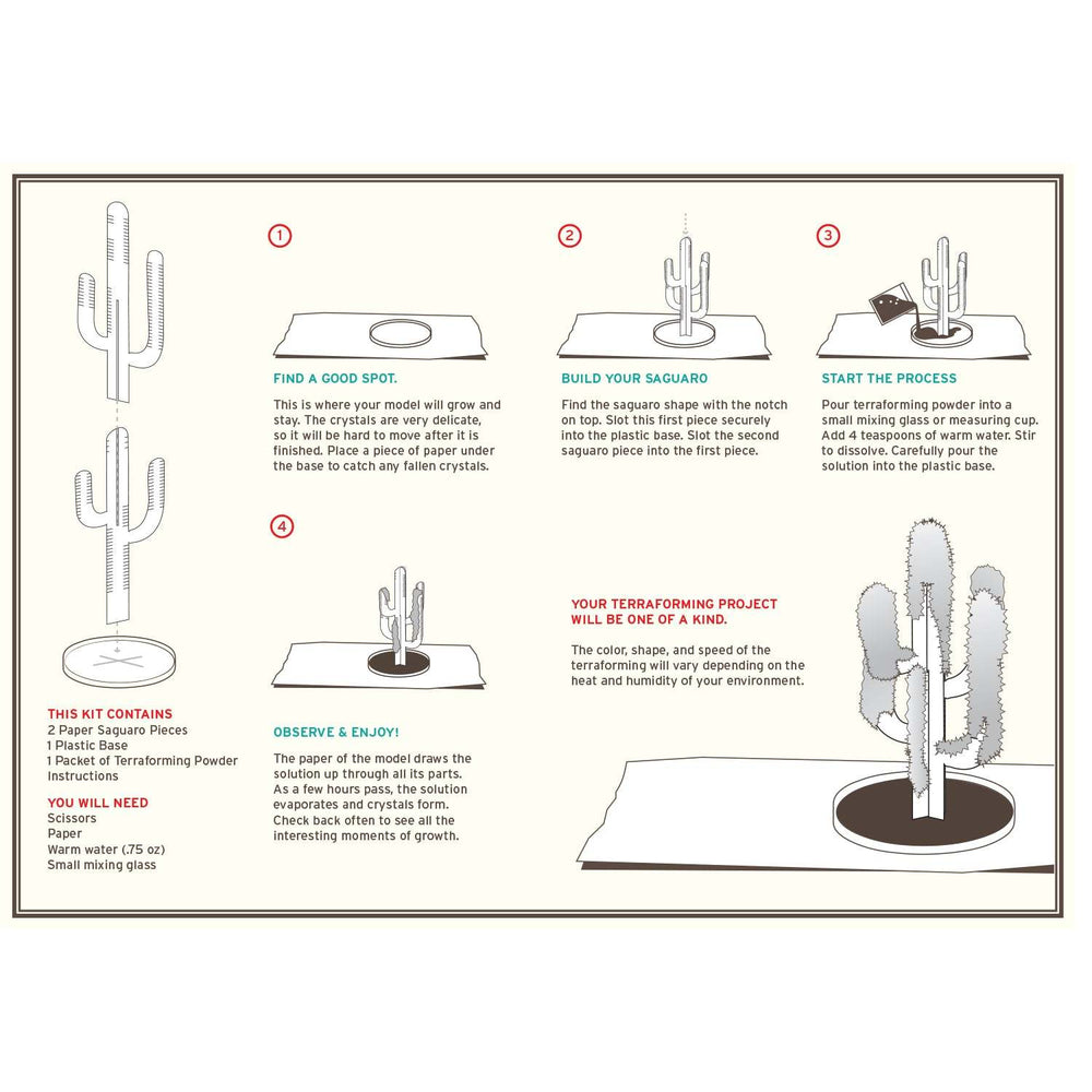 Crystal Growing: Saguaro Cactus (ONLINE ORDER ONLY)