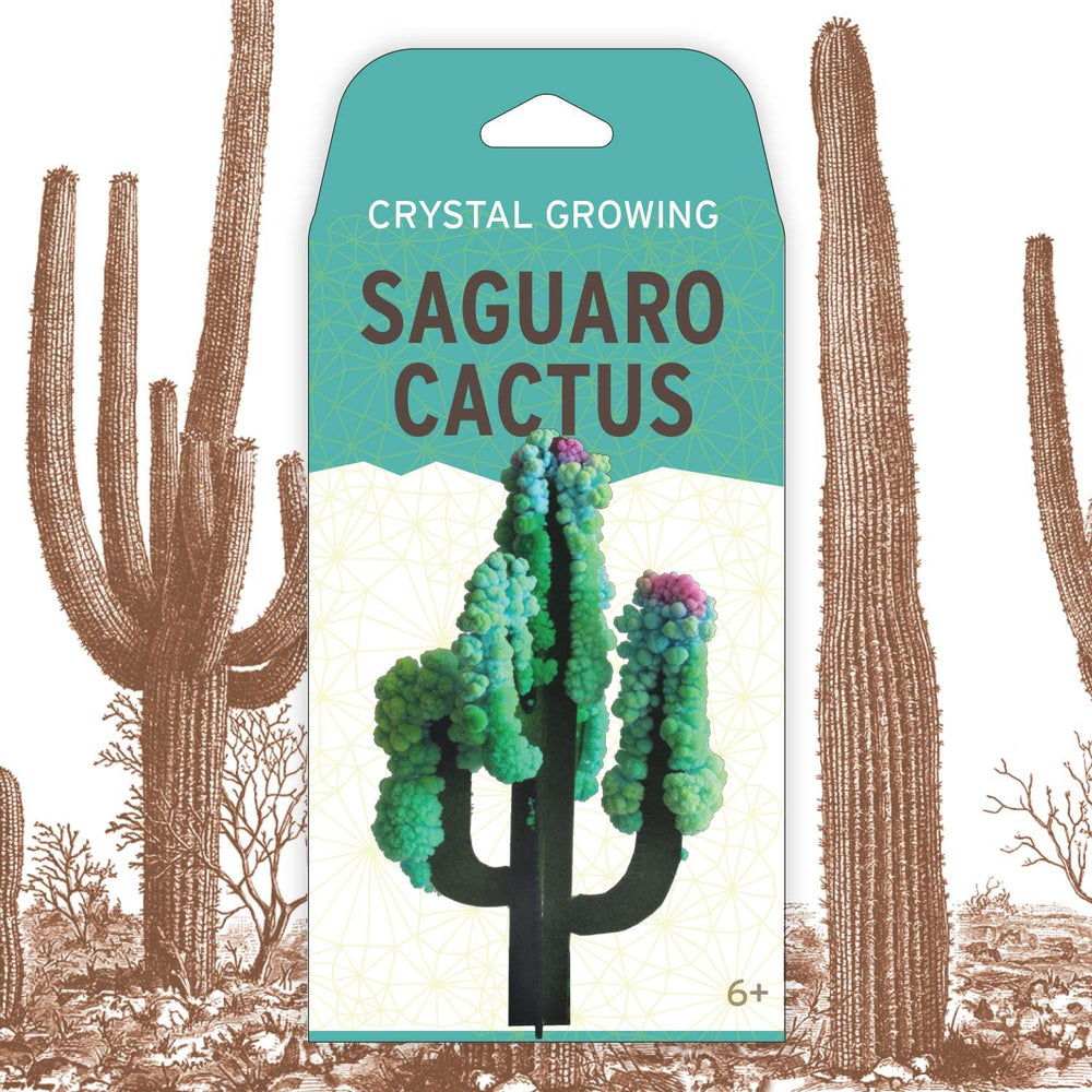 Crystal Growing: Saguaro Cactus (ONLINE ORDER ONLY)