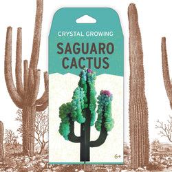 Crystal Growing: Saguaro Cactus (ONLINE ORDER ONLY)