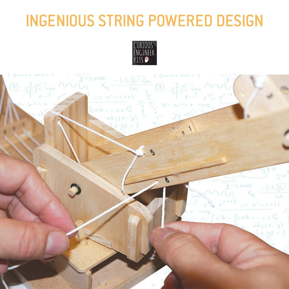 Make a Grabber Bot Kit | 3d wooden model | Facts & easy instructions included | Curious Engineer Kit (ONLINE ORDER ONLY)