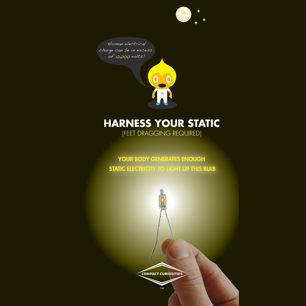 Human-Powered Light Bulb (ONLINE ORDER ONLY)