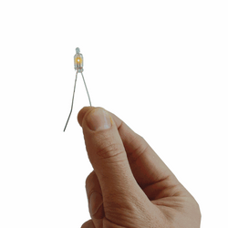 Human-Powered Light Bulb (ONLINE ORDER ONLY)