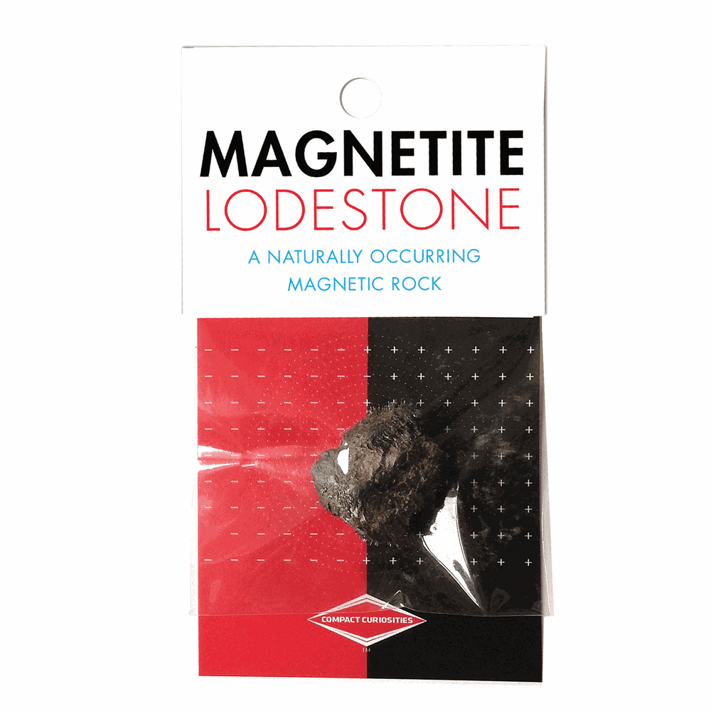 Magnetite - This rare mineral is naturally magnetic. (ONLINE ORDER ONLY)