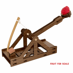 mini Catapult : Siege Engine Engineering Kit (ONLINE ORDER ONLY)