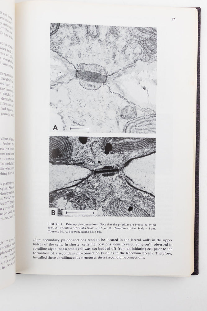 Coralline Algae, A First Synthesis (ONLINE ORDER ONLY)