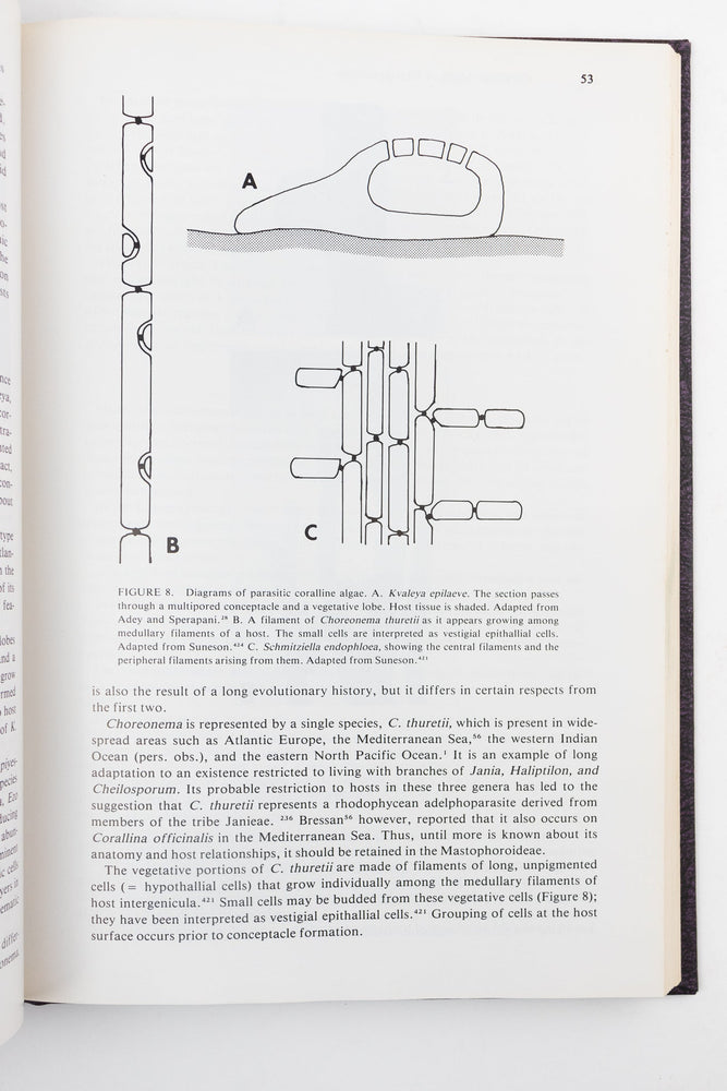 Coralline Algae, A First Synthesis (ONLINE ORDER ONLY)
