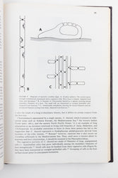 Coralline Algae, A First Synthesis (ONLINE ORDER ONLY)