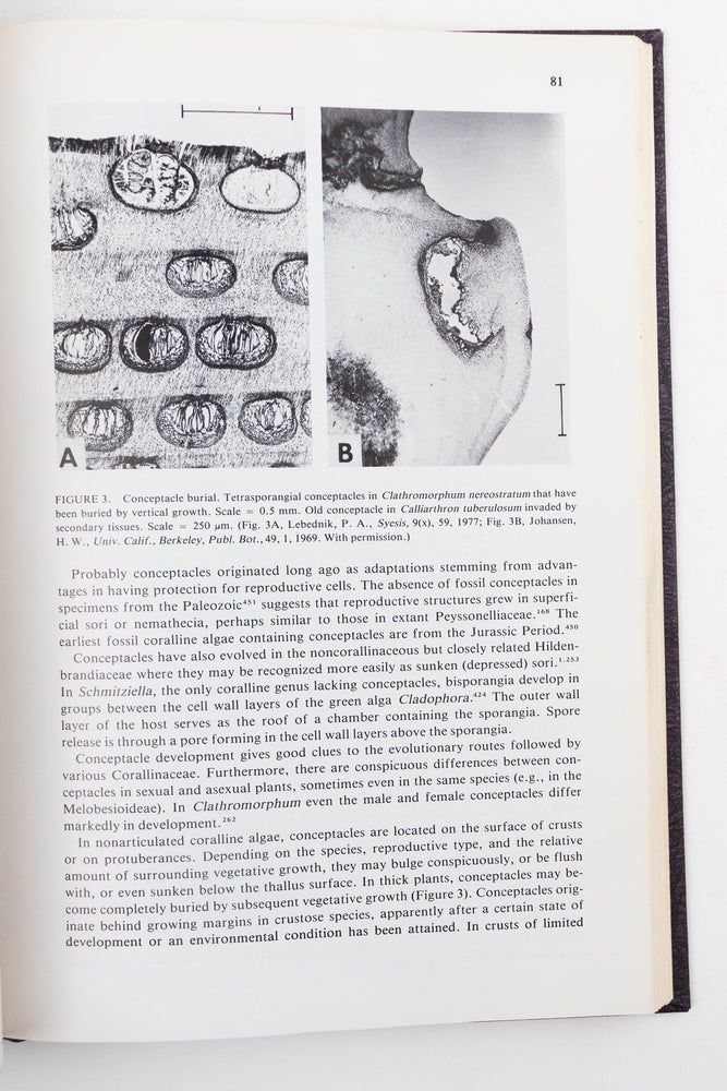 Coralline Algae, A First Synthesis (ONLINE ORDER ONLY)