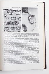Coralline Algae, A First Synthesis (ONLINE ORDER ONLY)