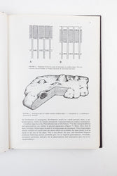 Coralline Algae, A First Synthesis (ONLINE ORDER ONLY)