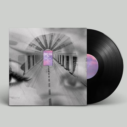 Dream In Dream [Vinyl]