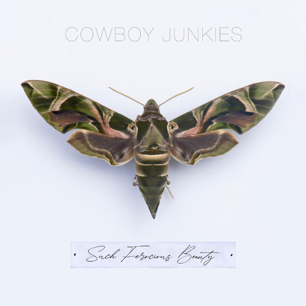 Such Ferocious Beauty [CD] (ONLINE ORDER ONLY)