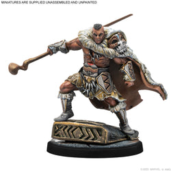 Marvel Crisis Protocol: Klaw & M'Baku (ONLINE ORDER ONLY)